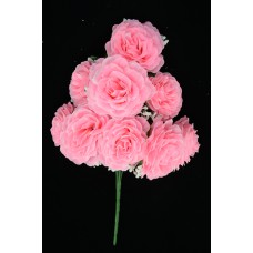 Pink Open Rose Bush x9  (Lot of 1) SALE ITEM