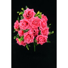 Coral Open Rose Bush x12  (Lot of 1) SALE ITEM
