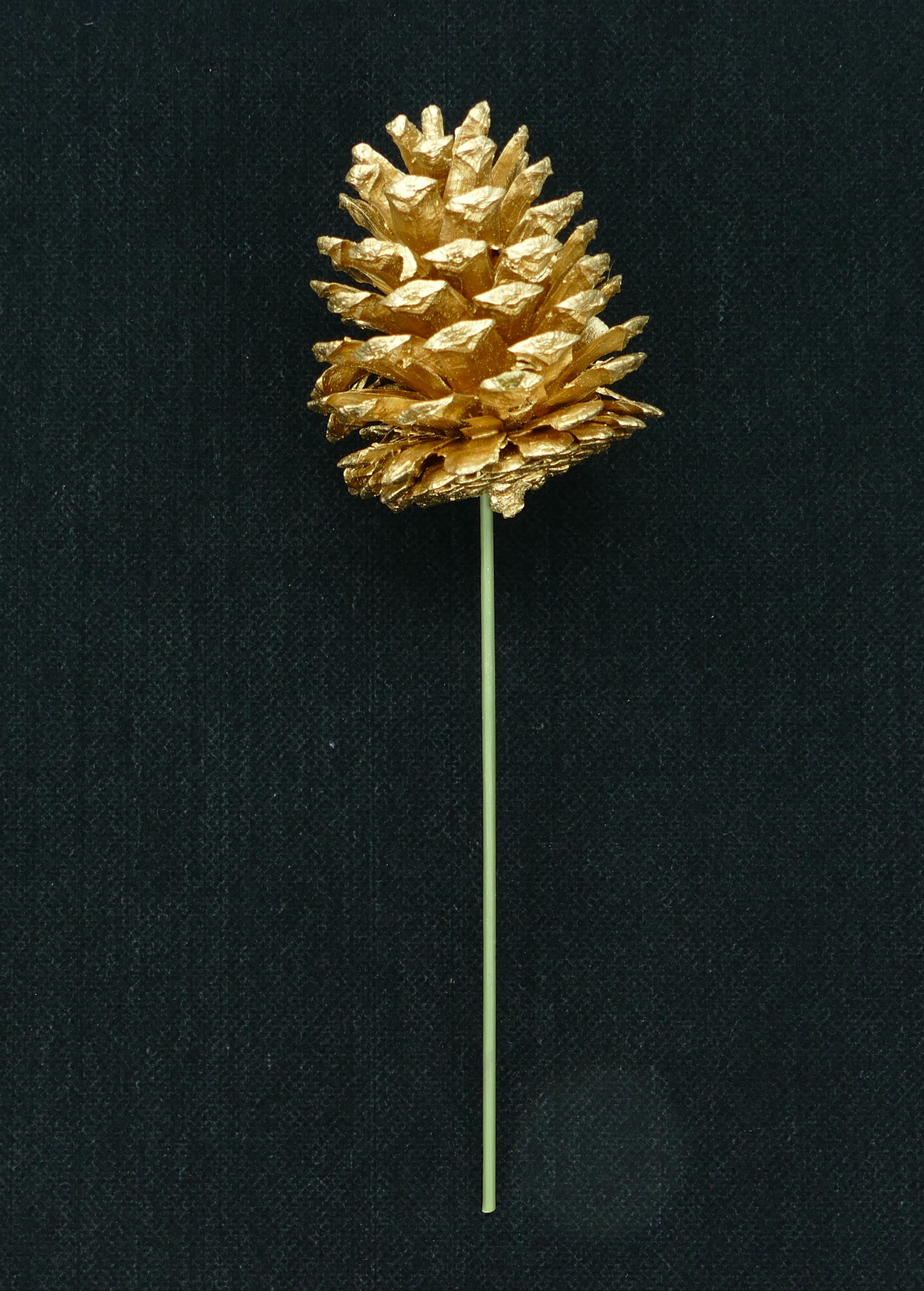 Gold Pinecone Picks 