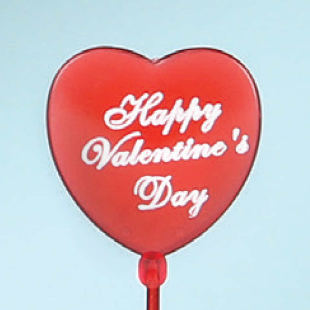 Royer 12 Inch Plastic Heart Valentine's Day Floral Picks, Card