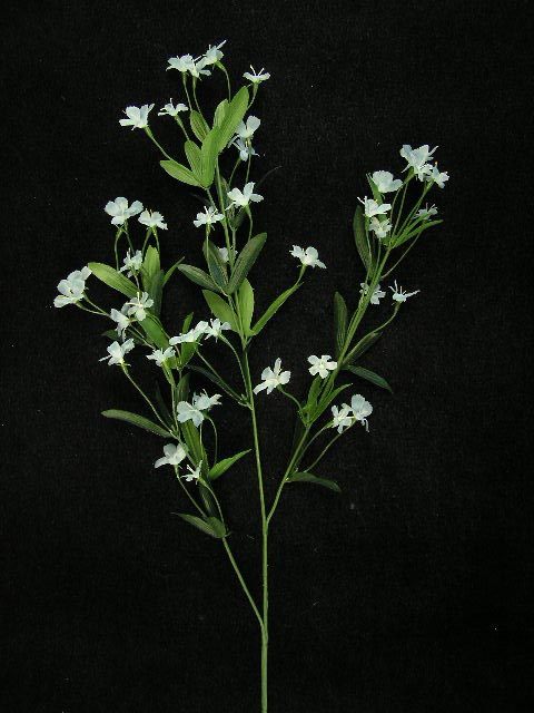 Natural Baby Breath – Fairmile Co