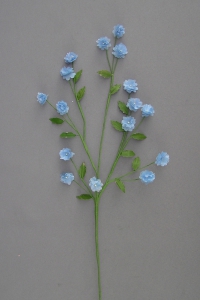 Miniature Marigold, blue (lot of 24) SALE ITEM