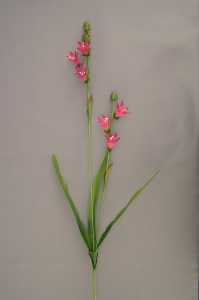 Freesia Handwrapped Silk Flower, burgundy, 30 inch (lot of 12)
