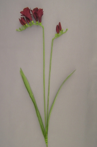 Freesia Silk Flower, burgundy, 26 inch (lot of 12)