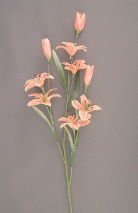 Pastel Water Color Baby Tiger Lily, Peach (Lot of 12)