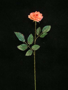 Dried-Look Diamond Rose, peach, 18 inch (lot of 24)