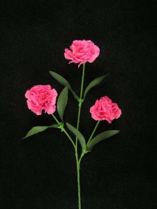 Carnation Silk Flower, beauty, 16 inch (lot of 24)