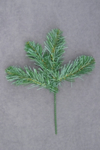 04 Tips, Blue Colorado Pine Pick, 10 inch (lot of 72)