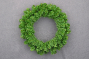 Colorado Spruce Pine Wreath, 24 inch (lot of 1)