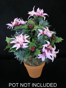 Holly-Lily-Pine Bush (lot of 1) SALE ITEM