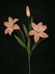 Tiger Lily, mauve (lot of 12)