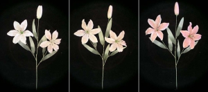 Pastel Water Color Tiger Lily, Peach (Lot of 12)