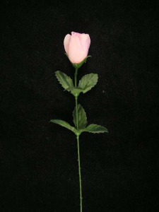 Rosebud, pink (lot of 72)
