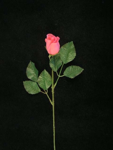 Rosebud, light burgundy (lot of 36)