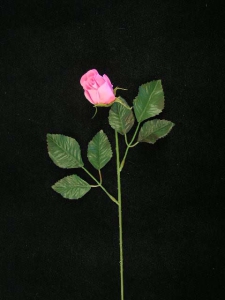 Rosebud, dark pink (lot of 36)