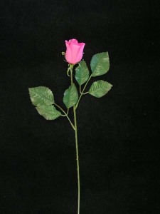 Rosebud, beauty (lot of 36)