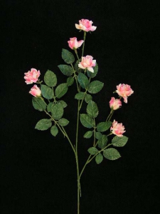 Small Diamond Rose, pink-shrimp (lot of 24)
