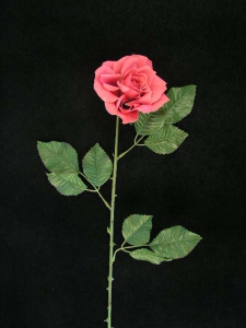 Deluxe Rose, light burgundy (lot of 12)