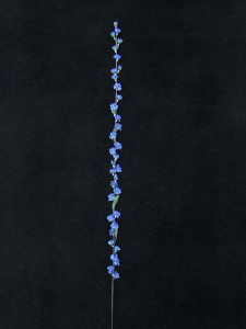 Prune, royal blue (lot of 24)