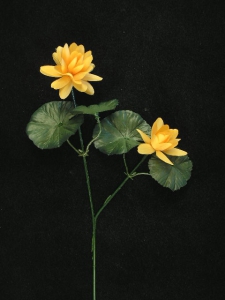 Lotus Blossom, butterscotch (lot of 12)