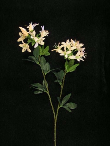Japanese Azalea Spray, peach (lot of 12)