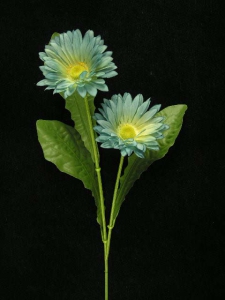 Gerber Daisy, wedgwood (lot of 24)