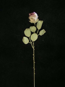 Dried Rosebud, lavender ((Lot of 1 Poly Sleeve - 12 Pcs. Per Sleeve)