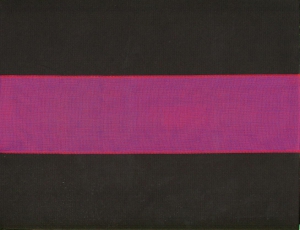 3 inch Wired Everyday Ribbon, cerise/multi (3 yards)