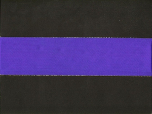 2.75 inch Wired Everyday Ribbon with Gold Edges, blue (3 yards)