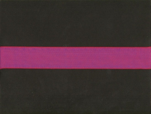 1.5 inch Everyday Ribbon, cerise/multi (3 yards)