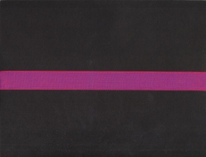 1 inch Wired Everyday Ribbon, cerise/multi (3 yards)