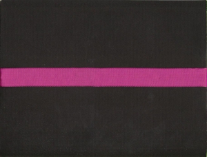 1 inch Wired Everyday Ribbon, fuchsia (3 yards)