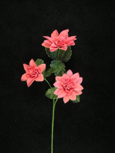 Dahlia, light burgundy (lot of 24)
