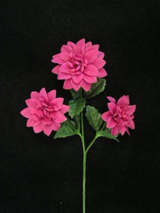 Dahlia, fuchsia (lot of 24)
