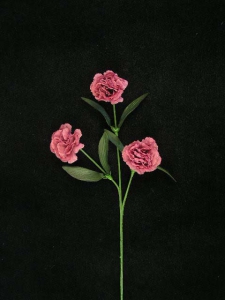 Carnation Spray, mauve (lot of 24)