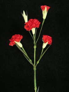 Handwrap Carnation, red (lot of 12)