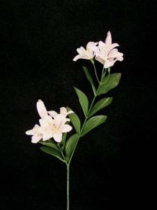 Tiger Lily, pink (lot of 24)