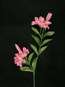 Tiger Lily, mauve (lot of 24)