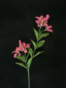 Tiger Lily, dark mauve (lot of 24)