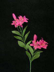 Tiger Lily, fuchsia (lot of 24)