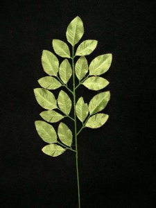 Satin Rose Leaf Spray (lot of 12)