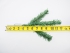 03 Tips, Artificial Green Canadian Pine Pick x 3 (LOT OF 1 PC.) SALE ITEM