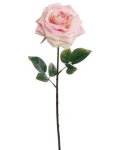 Pink Open Rose (lot of 12) SALE ITEM