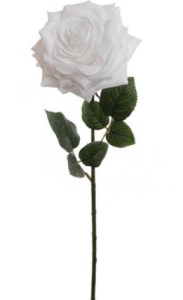 White Open Rose (lot of 12) SALE ITEM