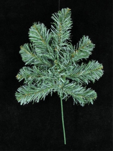 Blue Colorado Pine Pick, 15 inch (lot of 12)