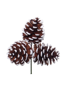 2.5" Pine Cone Pick With 3 - 2.5 Inch Natural Pines Cones With White Tips (Lot of 12 Picks) SALE ITEM