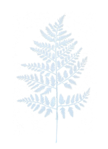 15.25 Inch Plastic White Leather Fern Leaf Spray (Lot of 12 Leaves) SALE ITEM
