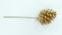 2.5 Inch Gold Pine Cone Pick  ( Lot of 12 Picks) SALE ITEM
