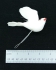 White Flying Dove, 3.5 inch (lot of 12)