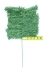 24 TIps, Artificial Green Canadian Pine Pick x 24 (LOT OF 1 PC.) SALE ITEM